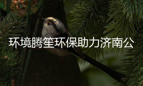 保障 协品腾笙公共期麻助力助处置过卫生环境环保济南精药