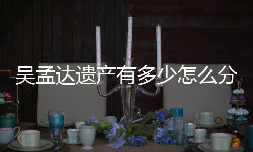 曝光产有达遗多少遗产怎么分分配方案吴孟