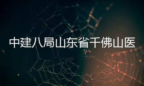 八局病房顶目封医院中建综合佛山楼项山东省千
